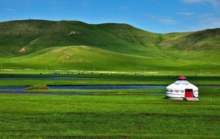 去内蒙古旅游,标题：探索内蒙古：草原之上的生活与自然之美