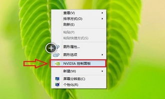 win10显示芯片查看