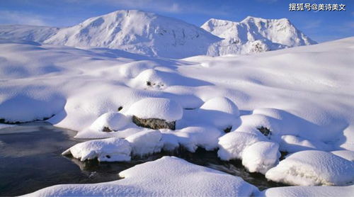 关于名山写大雪的诗句