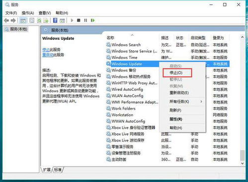 windows10停止自动更新