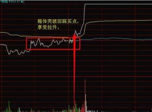 o24股票什么时候交易？