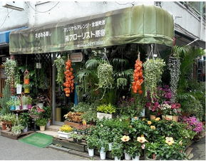 花店里面各种花,花店，那是一个充满色彩和生命力的地方