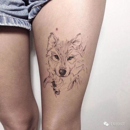 动物纹身 美女大腿 纹身图片