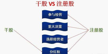 “干股”的具体含义是什么？