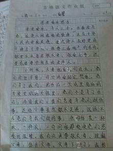 生活中的錯別字作文100字