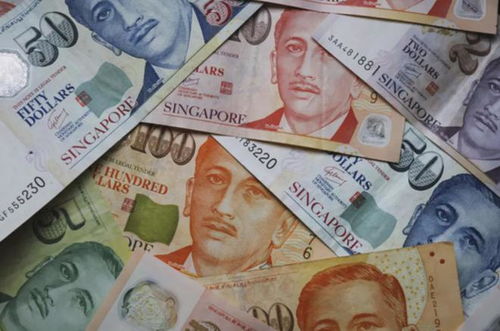 巴币换人民币今天汇率多少,最新的汇率数据