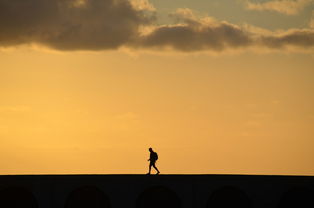 夕阳之韵——生命的余晖，时光的馈赠，夕阳的作文300字