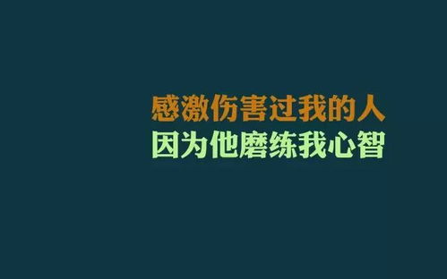 正能量文字励志带图片-正能量爆款的励志句子？