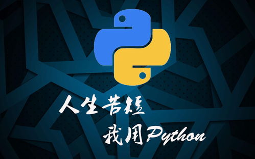 python开发岗,Pyho开发工程师：掌握未来科技趋势的黄金职业