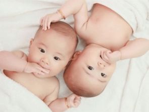 双胞胎和双胞胎结婚,生出来的孩子会如何 两个家庭告诉你答案