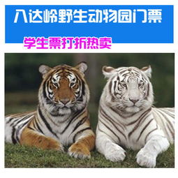 北京八达岭野生动物园门票 学生票 成人票 北京旅游必去 