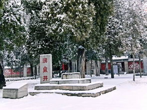 小雪时节,还记得我们在济宁看过的雪景吗