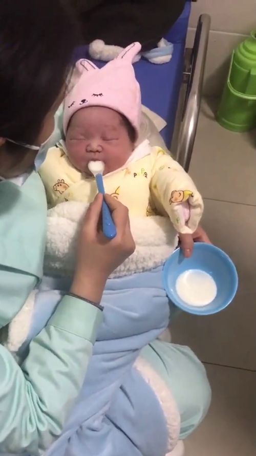 刚出生的小宝宝,护士喂奶喝着喝着睡觉了,太可爱了 