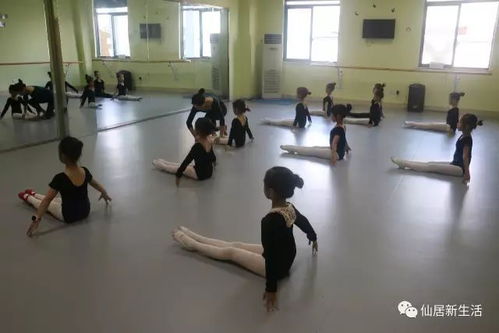 广元舞蹈班培训学校：点燃你的舞蹈之火，开启魅力人生之旅