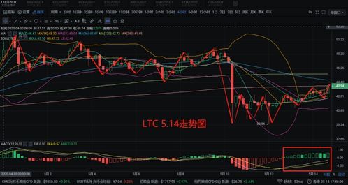 比特币5月14号行情,比特币价值翻了多少倍 比特币5月14号行情,比特币价值翻了多少倍 融资