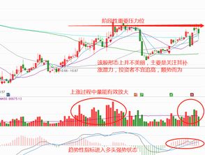 江苏天鼎证券为什么火起来了