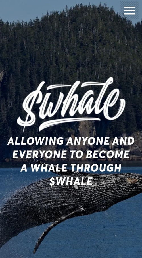 whale币最新消息,新手炒股知识：散户投资股票要注意什么 whale币最新消息,新手炒股知识：散户投资股票要注意什么 活动