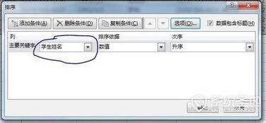 excel按姓名笔画排序方法
