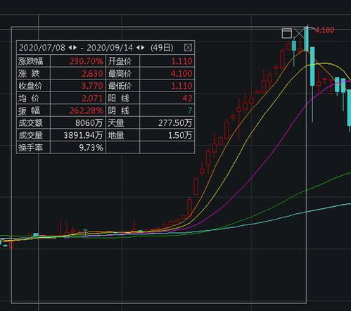 公司股权的集中程度，如果公司的股权高度集中，所要解决的问题是什么?公司股权高度