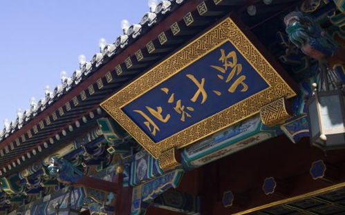 北京大学校园旅游,北京清华北大旅游攻略：探寻中国顶尖学府的魅力之旅