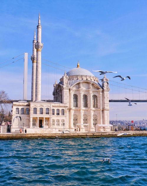 旅游方式分享 土耳其冷知识 
