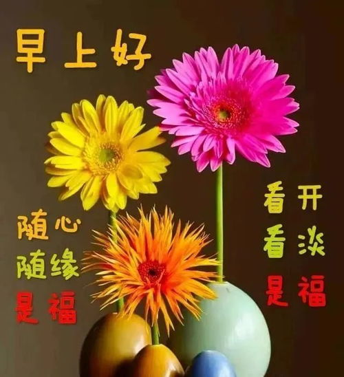 6月2日早上好 每日问候