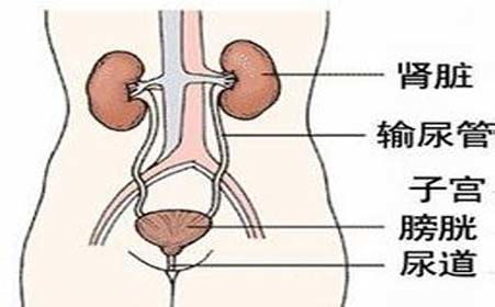 非淋菌性尿道炎的传播方式是什么