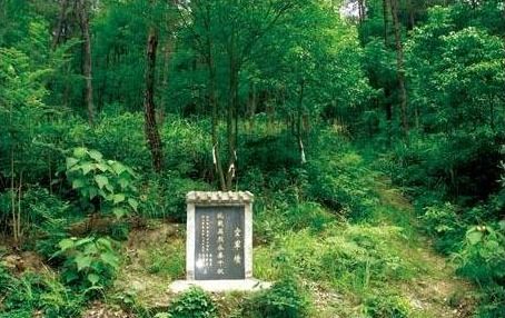 我家的坟塌土了而我在年三十筑的土合适吗(坟头土塌陷预示什么)