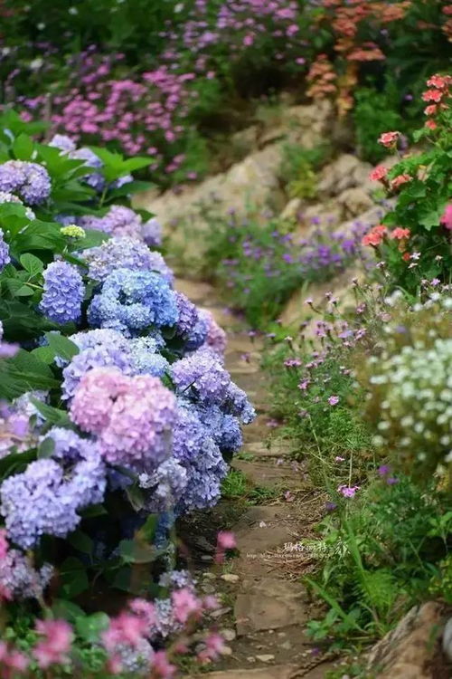 花园里的花多种多样,引言：花园中的