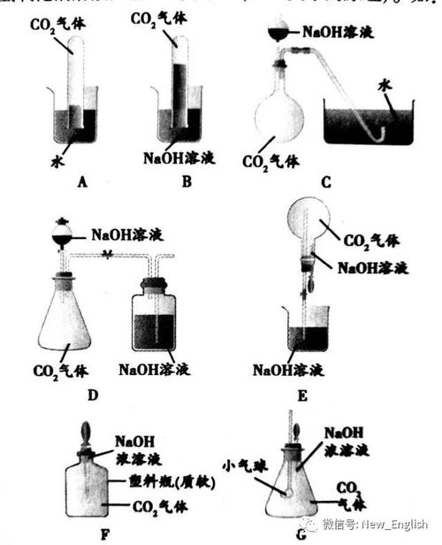 氢氧化钠与二氧化碳的反应是什么?