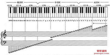 钢琴五线谱上的黑键和白键有什么区别？