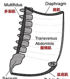 什么时间是产后恢复的最佳时期 有哪些必须要做的产后修复训练