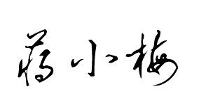 蒋小梅艺术签名 