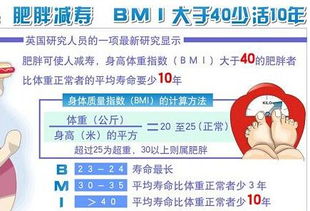 Bmibmi指数搜狗百科 文章阅读中心 急不急图文 Jpjww Com