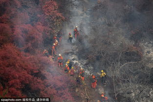 加州山上野火燃烧 当地政府派出消防飞机空投阻燃剂