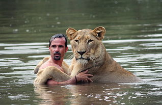 动物学家与狮子河中游泳戏水