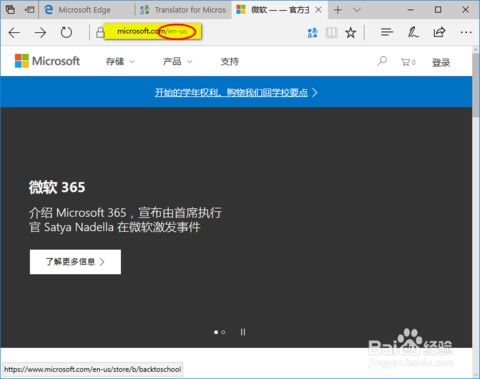 win10浏览器安装插件不好使