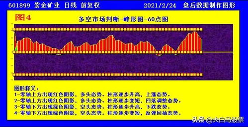 新疆天山铝业的发展前景怎样