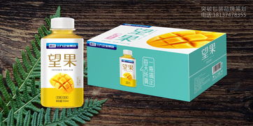 桐珍 三九企业集团 芒果汁饮料包装设计品牌形象设计