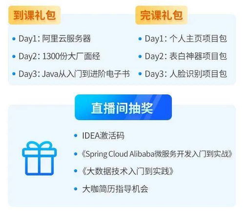 Java项目开发经验：从新手到专家的成长之路