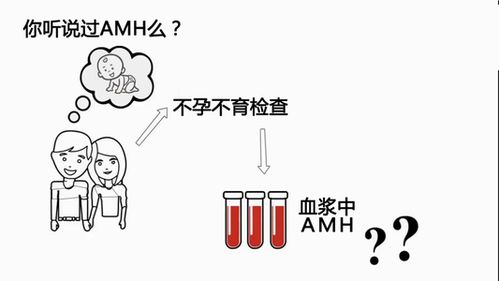 AMH值太低可以去哈萨克斯坦做试管婴儿吗