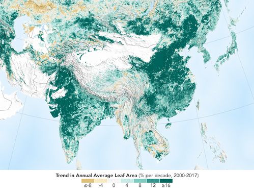 and India making Earth greener, NASA study shows Chinadaily.com.cn 
