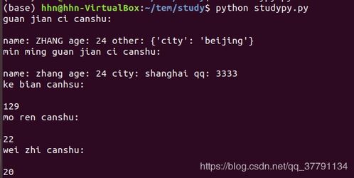 python心得体会3000字,Pyho之旅：编程的魅力与无限可能