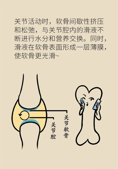 爬楼难,起床僵,关节痛得要造反 这究竟是什么病