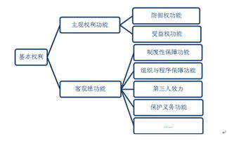 基本权利的体系 思维 宪法 研究 中国宪政网 