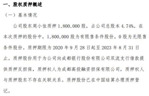 思晗科技2名股东合计质押240万股 用于为借款提供质押反担保