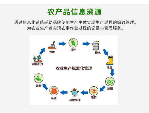 绿色查重常见问题解答：解决您的所有疑惑