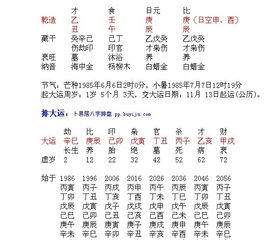 初学者必备：免费SEO优化工具大解析 (初学与入门)