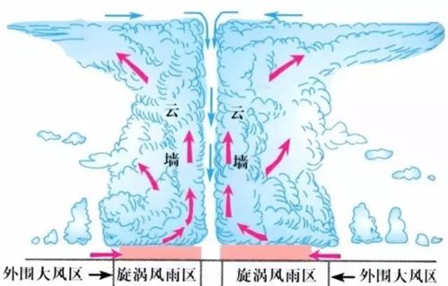 台风是怎么形成的(台风是怎样形成的呢)