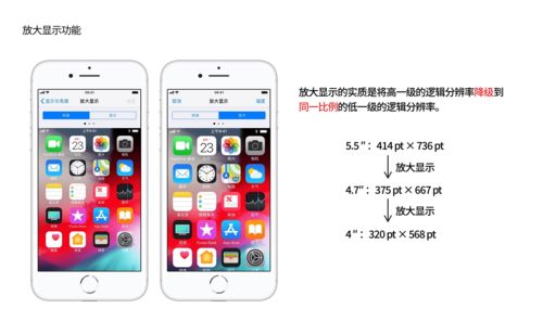 结合 iPhone 屏幕尺寸进化历程,猜猜 iPhone 12 的屏幕参数是什么
